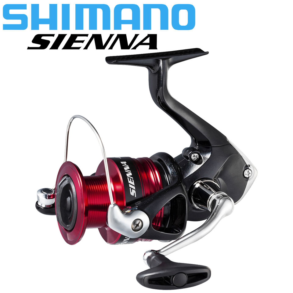 Shimano Sienna Original Spinni – Shimano Reel Sienna Bewertung und Preis