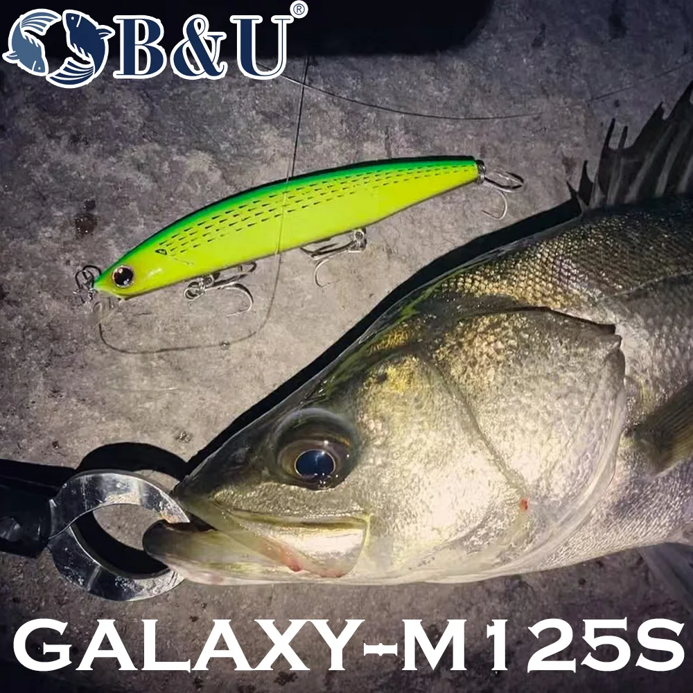 B&U 125 mm sinkender Minnow-Me – Fishing Lure Jerkbait Bewertung und Preis